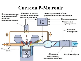 Система P-Motronic