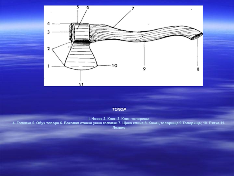 Строение топора. Обух топора. Части топора криминалистика.
