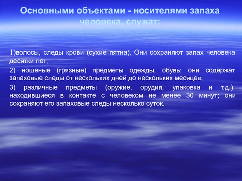 Количество запаховых объектов находящихся в одном ряду с эталоном образцом запаха