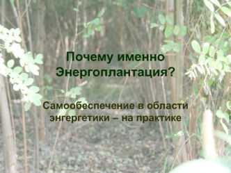 Почему именно Энергоплантация?