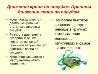 Движение крови по сосудам. Причины движения крови по сосудам