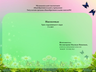 Насекомые
                 Урок окружающего мира
           2 класс