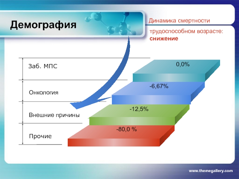 Анкета демография