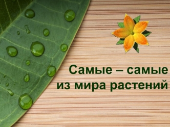 Самые – самые из мира растений