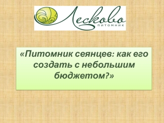 Питомник сеянцев: как его создать с небольшим бюджетом