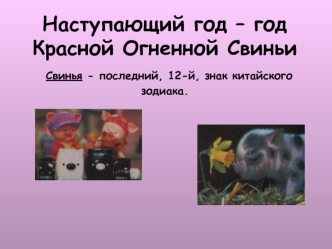 Наступающий год – год Красной Огненной Свиньи Свинья - последний, 12-й, знак китайского зодиака.