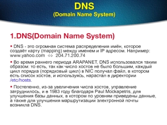 DNS(Domain Name System)
