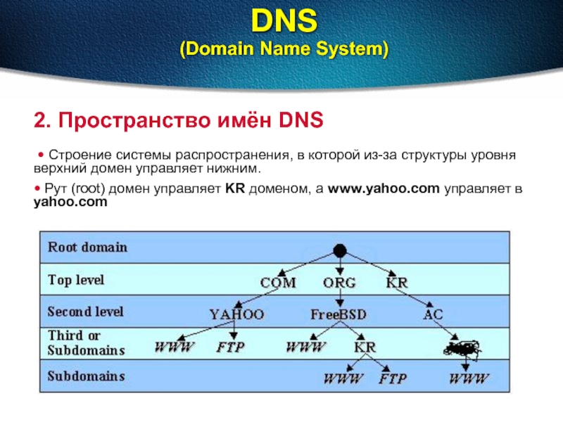 Пространство имен dns