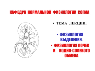 Физиология выделения. физиология почек и водно-солевого обмена