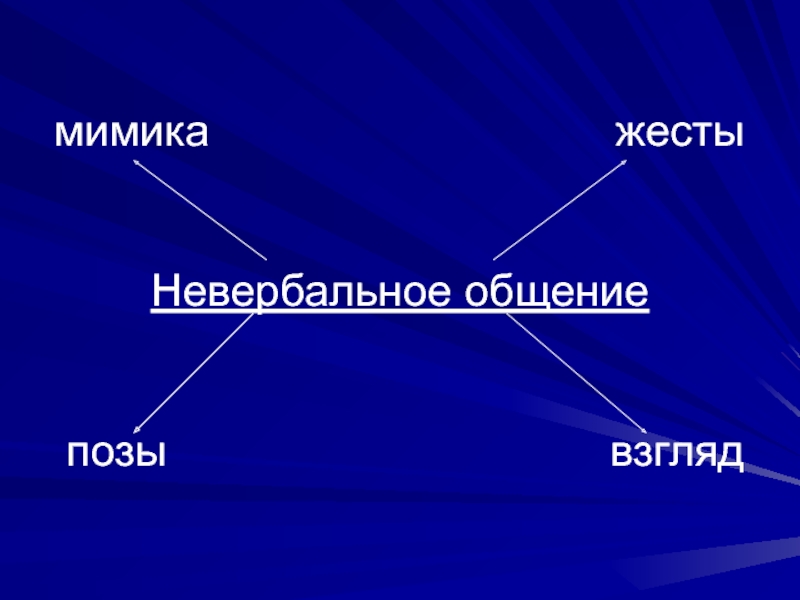 Реферат: Особенности невербального общения в деятельности учителя