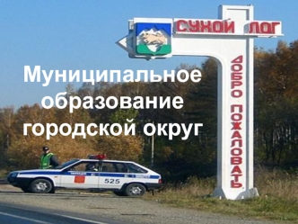 Муниципальное образование городской округ Сухой Лог