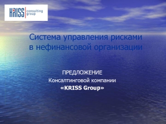 Система управления рискамив нефинансовой организации