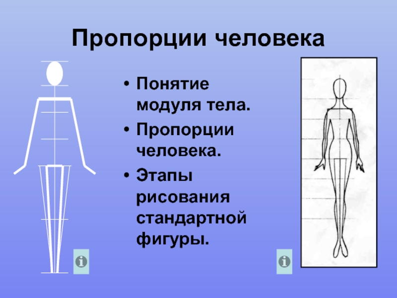 Пропорции человека на рисунке