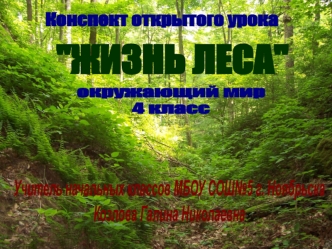 Конспект открытого урока