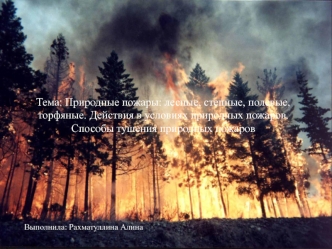 Природные пожары: лесные, степные, полевые, торфяные. Действия в условиях природных пожаров. Способы тушения природных пожаров