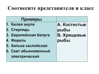 Класс Земноводные