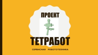 Проект Тетработ. Сервисная робототехника