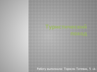 Туристический поход