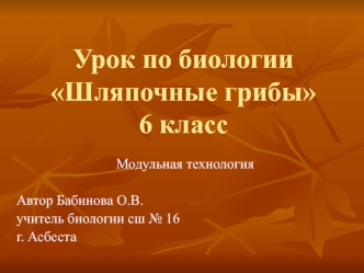 Урок по биологии Шляпочные грибы6 класс