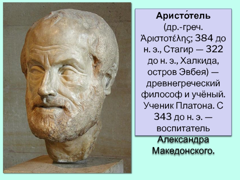 Аристотель стагирит. Аристотель (384-322 гг. до н.э.). Проксен опекун Аристотеля. Бюст Сократа Лисипп.