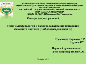 презентация (ВКР) Идрисова Д. ))))