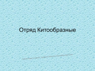 Отряд Китообразные