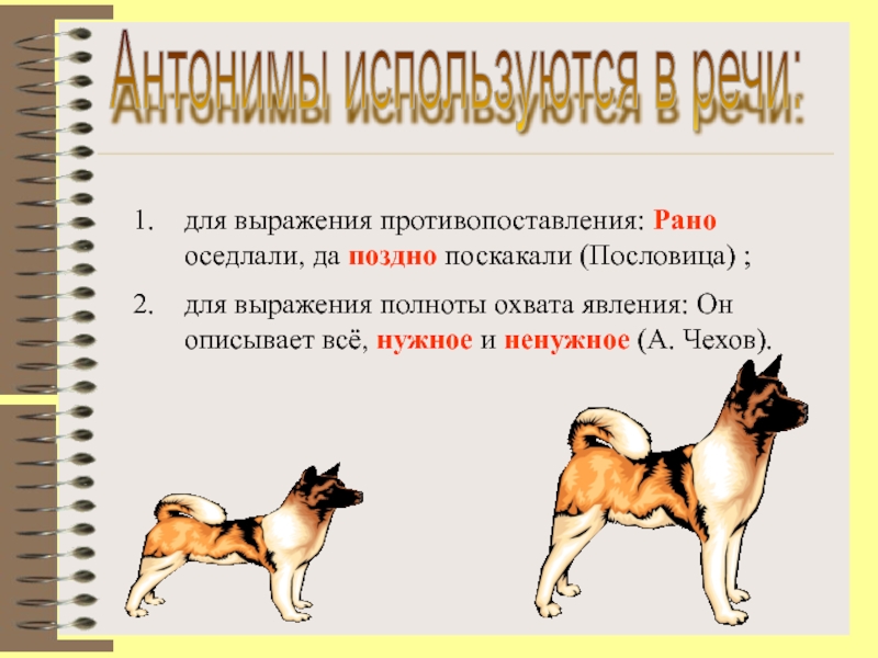 Пословицы на противопоставление антонимов. Антонимы про животных. Противоположные животные. Антонимы по теме животные. Антонимы к животным.