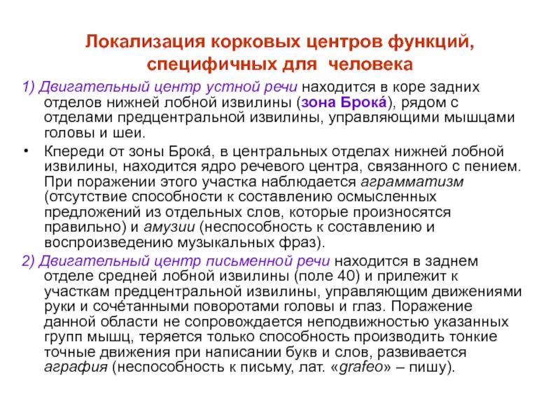 Функции центров. Корковый конец двигательного анализатора устной речи. Корковый центр письменной речи. Локализация коркового центра двигательного анализатора. Ядро двигательного анализатора письменной речи.