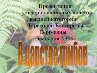 Презентация      учителя начальных классоввысшей категории    Тарасовой Екатерины Сергеевны  гимназия №66