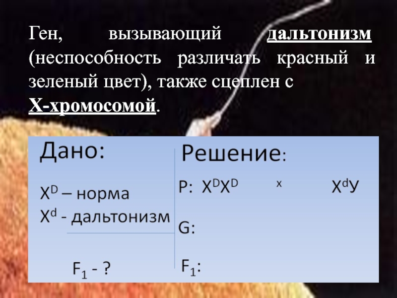 Дальтонизм сцеплен с х хромосомой. Ген дальтонизма. Ген вызывающий цветовую слепоту у человека расположен. Дальтонизм сцеплен с полом. Дальтонизм сцеплен с полом или нет.