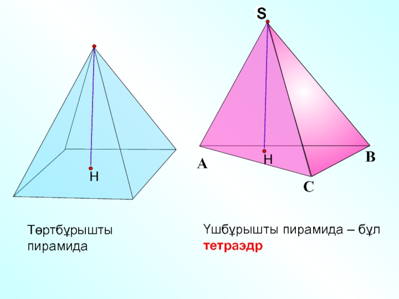 Параллелепипед пирамида 5 класс