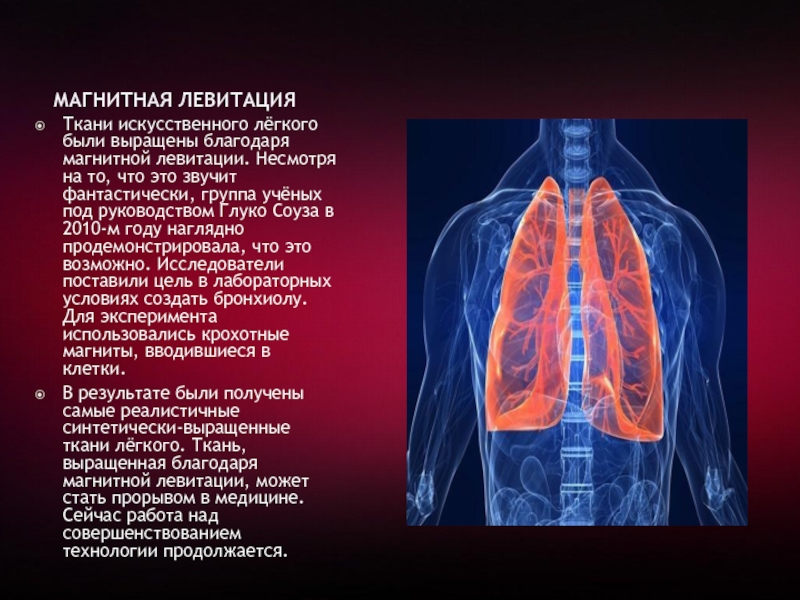 Выращенные благодаря. Искусственные легкие человека. Искусственные легкие фото с названиями. Есть ли искусственные легкие.