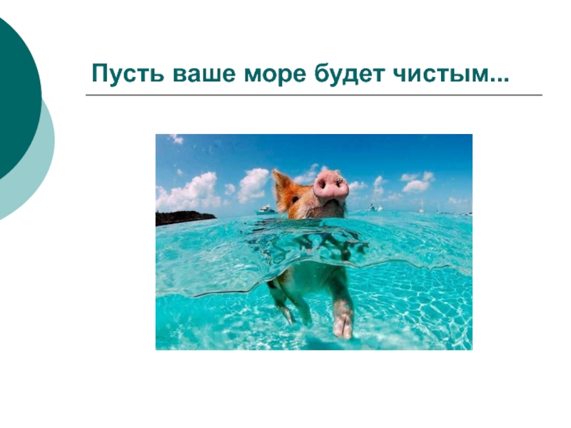 Ваше море