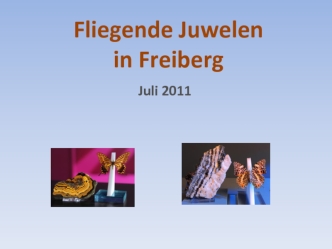 Fliegende juwelen in Freiberg