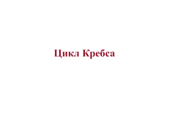 Цикл Кребса