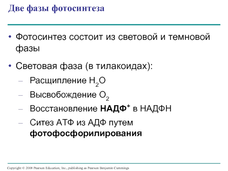 Установите правильную последовательность процессов фотосинтеза. Восстановление НАДФ до НАДФН световая фаза. Установите последовательность событий в реакциях фотосинтеза. Условия 2 фазы Темнова. Биоколлоид 2 фазы.