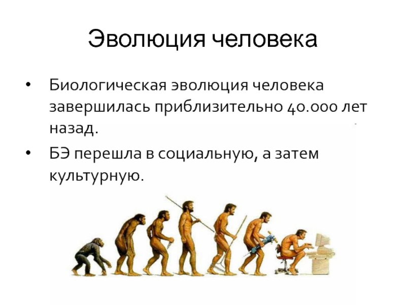 Основные особенности эволюции. Эволюция человека. Биологическая Эволюция человека. Развитие человека. Этапы развития человека.