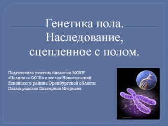 Генетика пола. Наследование, сцепленное с полом.