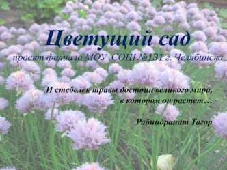Цветущий садпроект филиала МОУ  СОШ №131 г. Челябинска