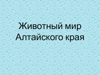 Животный мир Алтайского края