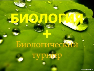БИОЛОГИЯ +