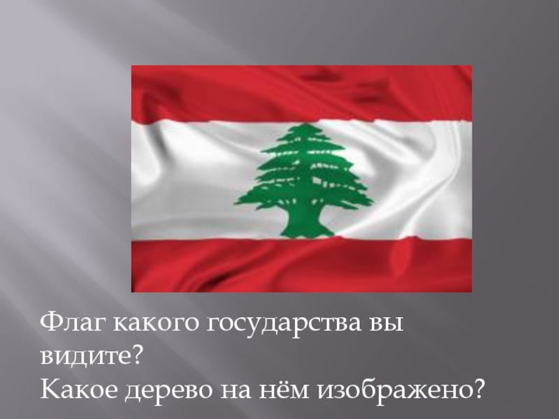 Флаг какого государства вы видите? Какое дерево на нём изображено?