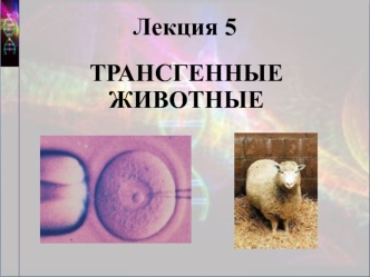 Лекция 5