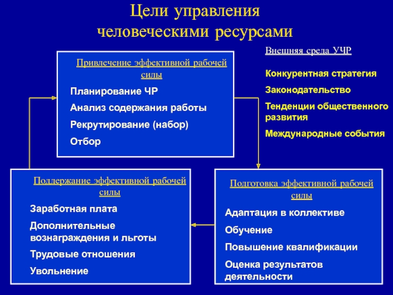 Управление человеческими ресурсами учебный план