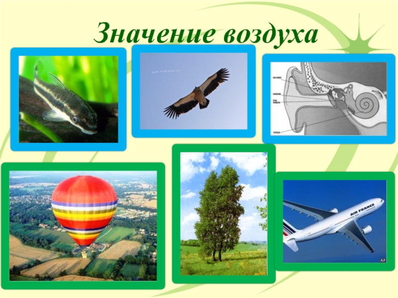 Воздух 1 класс. Значение воздуха для человека. Картинки по теме воздух. Биологическое значение воздуха. Значение воздуха в жизни человека.