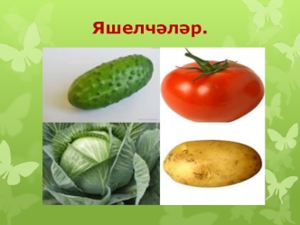 Яшелчэлэр. Овощи и фрукты