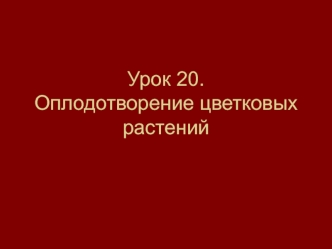 Оплодотворение цветковых растений