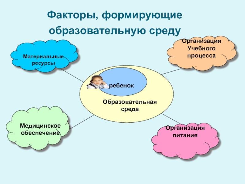 Ориентация на учебный процесс. Факторы формирующие ЗОЖ. Факторы формирования педагогического процесса.