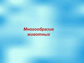 Многообразие животных. Лев вид хищных млекопитающих, один из четырёх представителей рода пантера, относящегося к подсемейству больших кошек в составе.