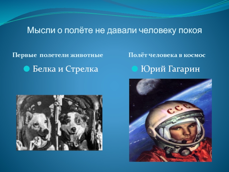 Кто первый полетел в космос в россии. Кто первый полетел в космос. Первый полет человека в космос белка и стрелка.